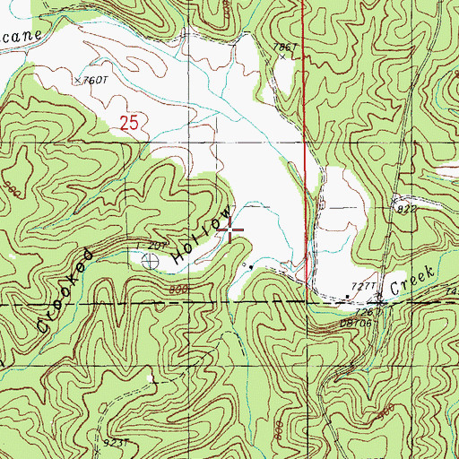 Topographic Map of South Crooked Hollow, MO