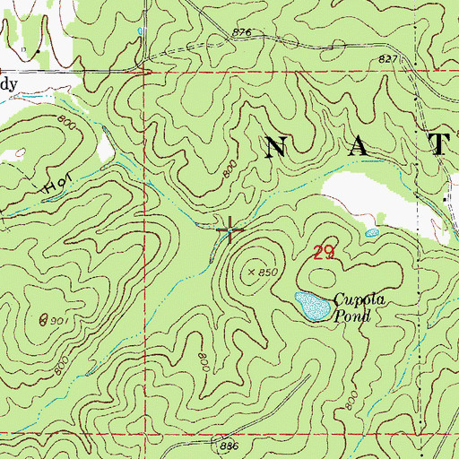 Topographic Map of South Fork Little Barren Creek, MO