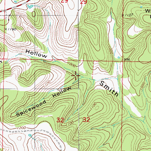 Topographic Map of Spicewood Hollow, MO
