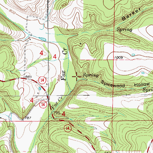 Topographic Map of Spicewood Hollow, MO