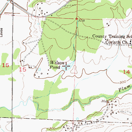 Topographic Map of Wilson Pond, AR