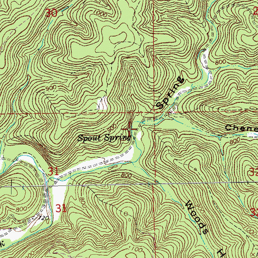 Topographic Map of Spout Spring, MO