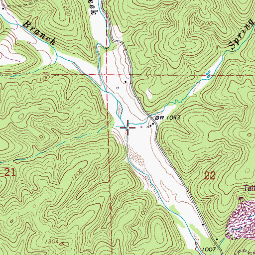 Topographic Map of Spring Branch, MO