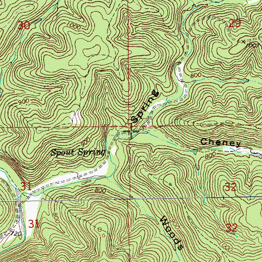 Topographic Map of Spring Hollow, MO