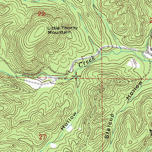 Topographic Map of Spur Hollow, MO