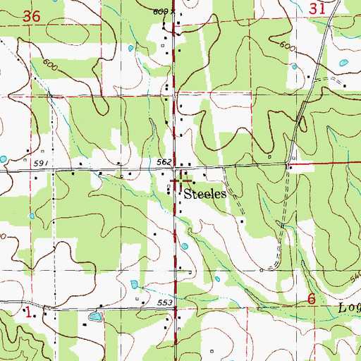 Topographic Map of Steeles, MO