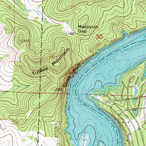 Topographic Map of Steep Bluff, MO