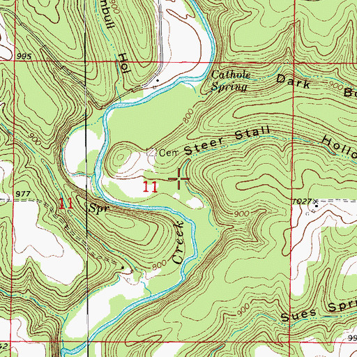 Topographic Map of Steer Stall Hollow, MO