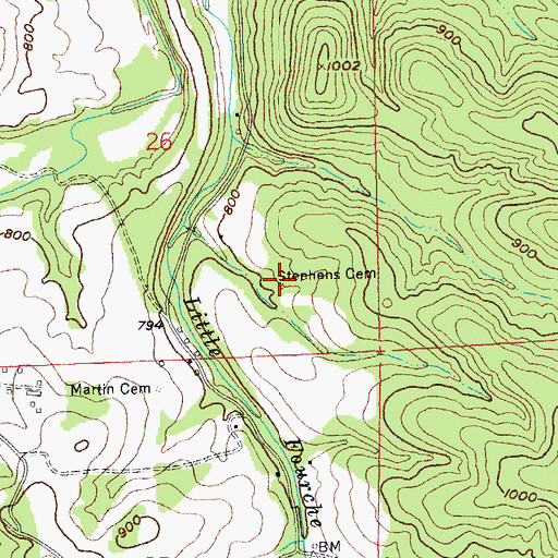 Topographic Map of Stephens Cemetery, MO