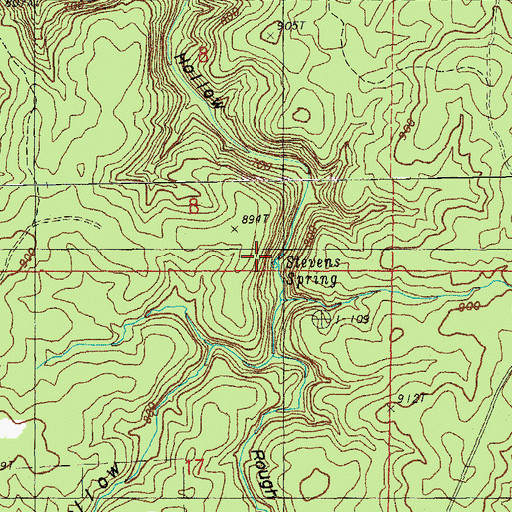 Topographic Map of Stevens Spring, MO