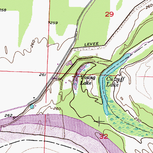 Topographic Map of Young Lake, AR