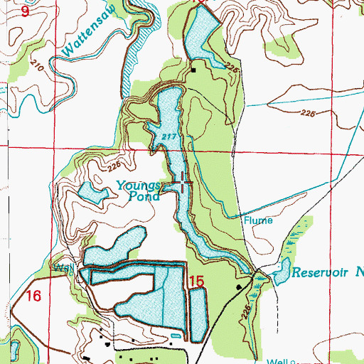 Topographic Map of Youngs Pond, AR