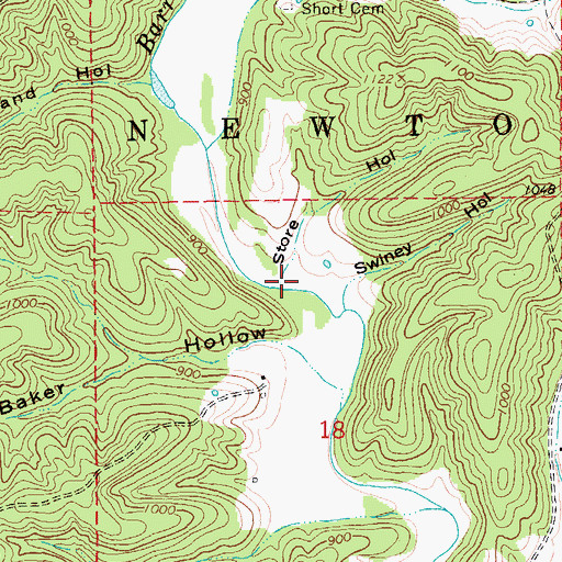 Topographic Map of Store Hollow, MO