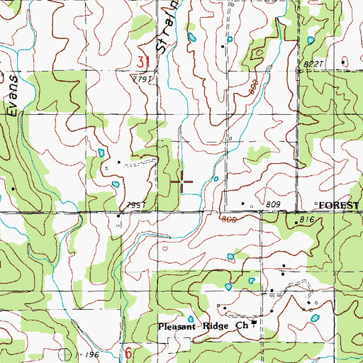 Topographic Map of Strain Hollow, MO