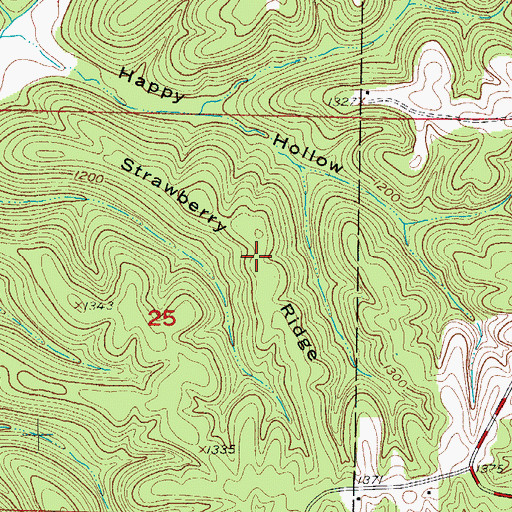 Topographic Map of Strawberry Ridge, MO