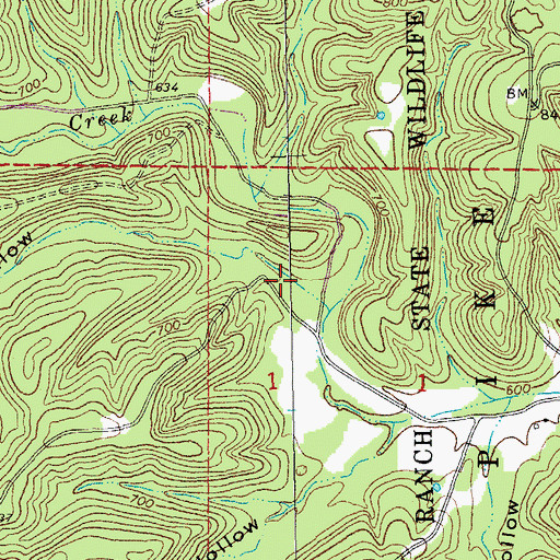 Topographic Map of Strong Hollow, MO