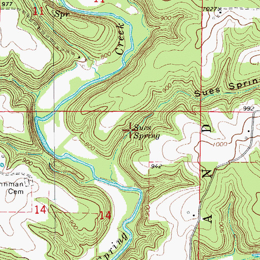 Topographic Map of Sues Spring, MO