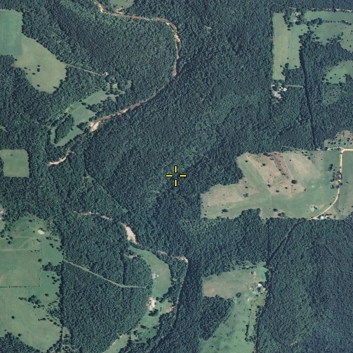 Aerial/Satellite Image of Sues Spring, MO