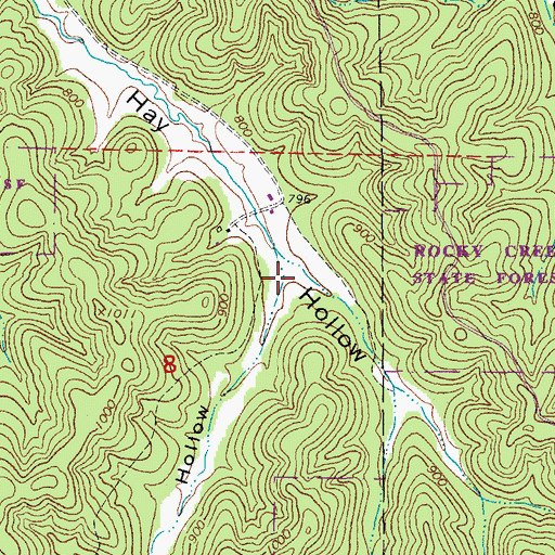 Topographic Map of Summer Hollow, MO