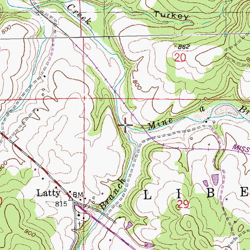Topographic Map of Swan Branch, MO