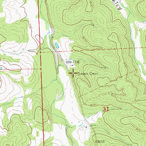 Topographic Map of Swan Cemetery, MO