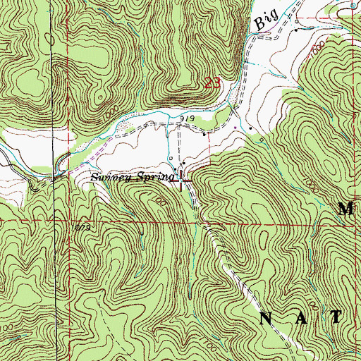 Topographic Map of Swiney Spring, MO