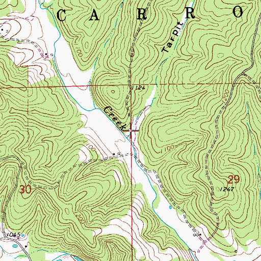 Topographic Map of Tarpit Hollow, MO