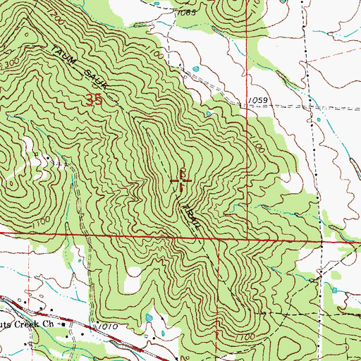 Topographic Map of Taum Sauk Trail, MO