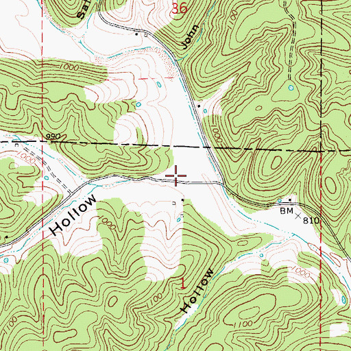 Topographic Map of Taylor Hollow, MO
