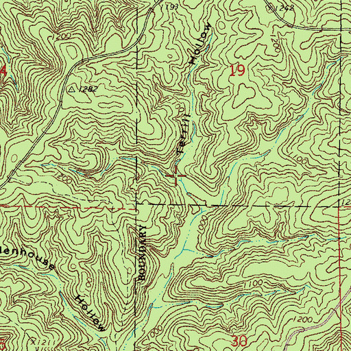 Topographic Map of Terrill Hollow, MO