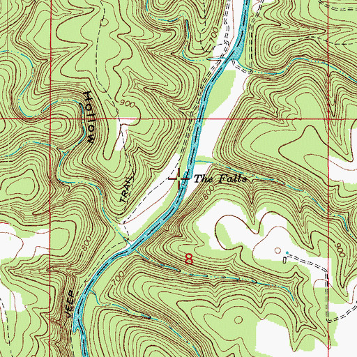Topographic Map of The Falls, MO