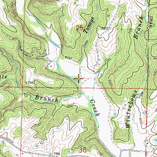 Topographic Map of Toneys Branch, MO