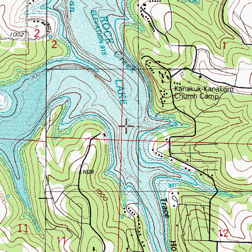 Topographic Map of Trace Hollow, MO
