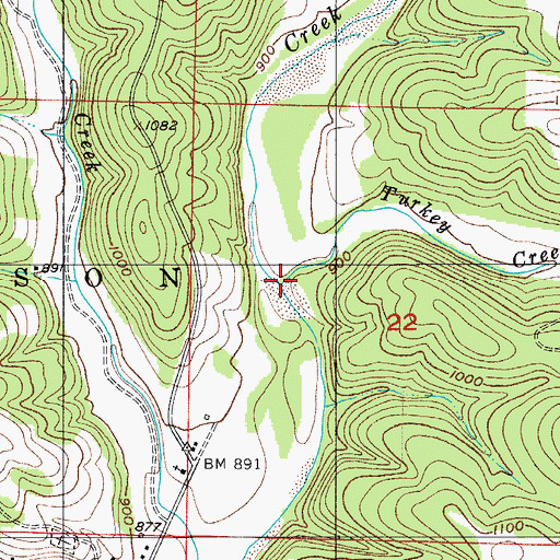 Topographic Map of Turkey Creek, MO