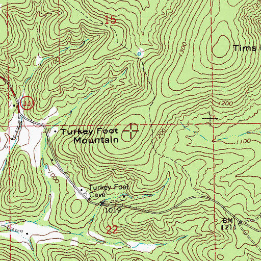 Topographic Map of Turkey Foot Mountain, MO