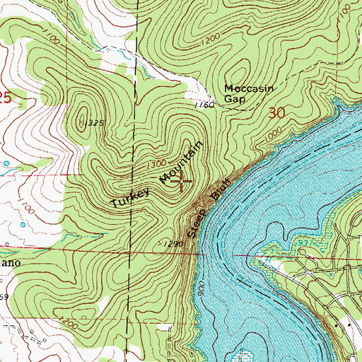 Topographic Map of Turkey Mountain, MO