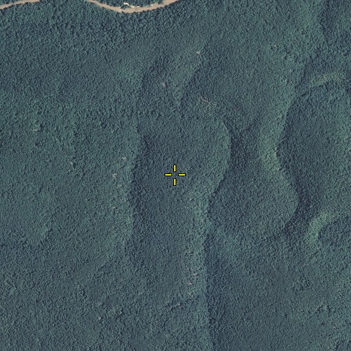 Aerial/Satellite Image of Turkey Point, MO