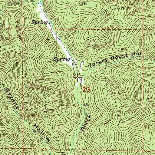 Topographic Map of Turkey Roost Hollow, MO