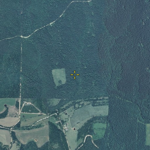 Aerial/Satellite Image of Turkey Spring, MO