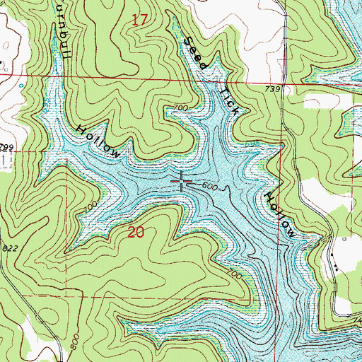 Topographic Map of Turnbull Hollow, AR