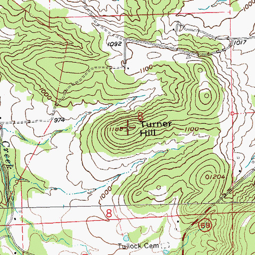 Topographic Map of Turner Hill, MO