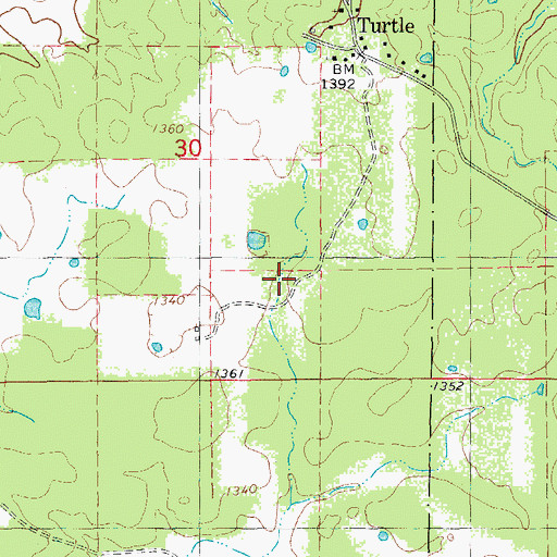 Topographic Map of Turtle, MO