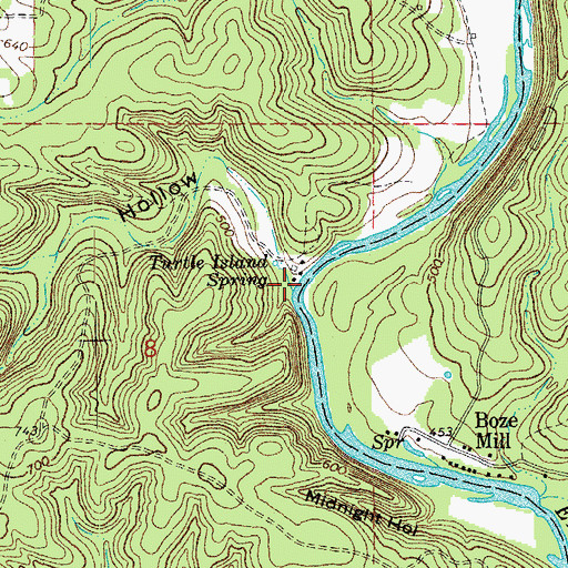 Topographic Map of Turtle Island Hollow, MO
