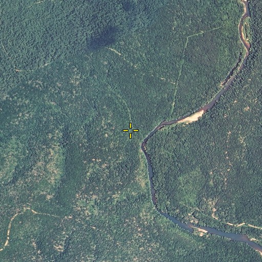 Aerial/Satellite Image of Turtle Island Spring, MO