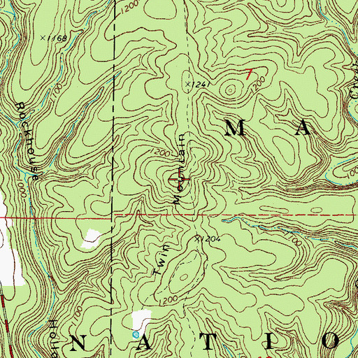 Topographic Map of Twin Mountain, MO