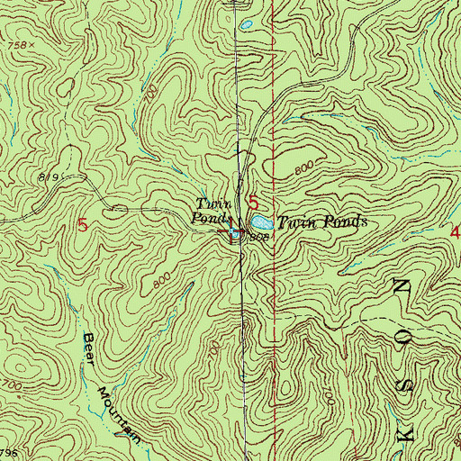 Topographic Map of Twin Ponds, MO