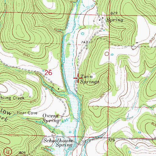 Topographic Map of Twin Springs, MO