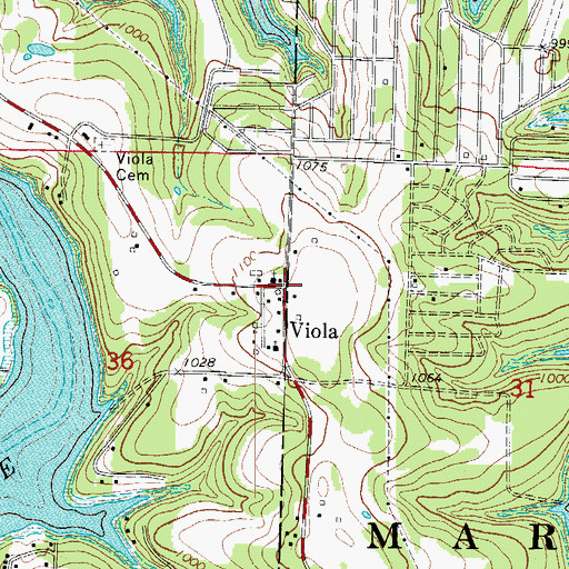 Topographic Map of Viola, MO