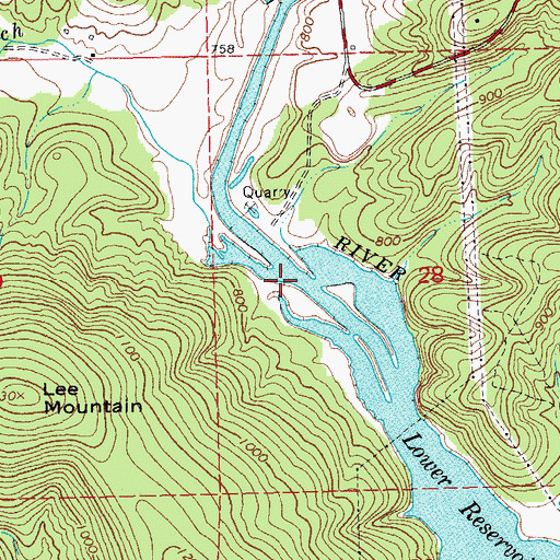 Topographic Map of Walker Branch, MO