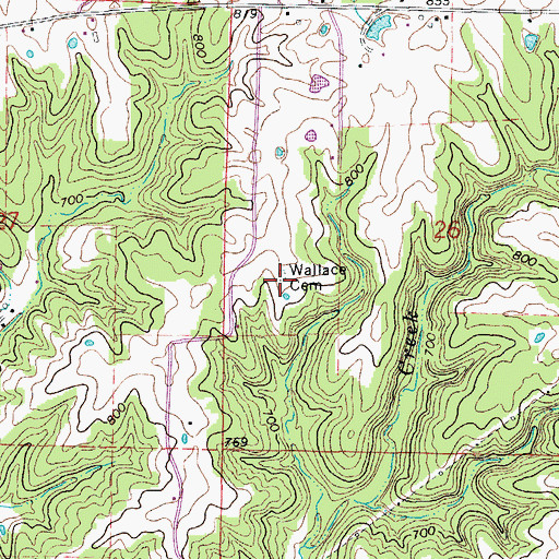 Topographic Map of Wallace Cemetery, MO